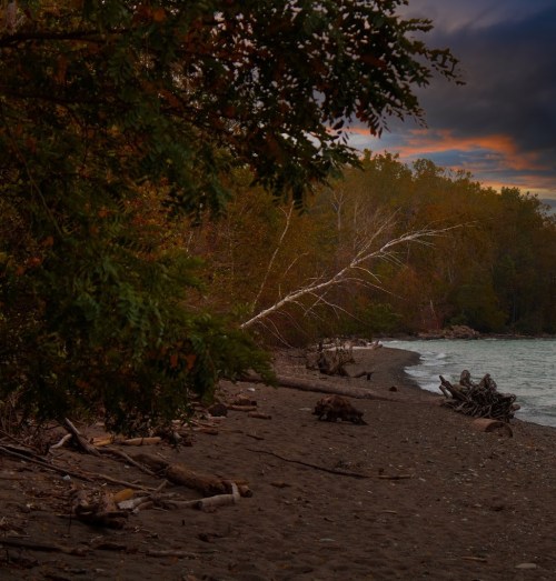 A serene riverbank scene with trees, fallen branches, and a calm water surface under a colorful sky at dusk.