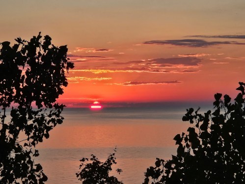 A vibrant sunset over the ocean, framed by silhouetted tree branches.