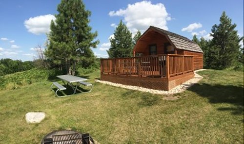 A cozy wooden cabin with a deck, surrounded by trees and a picnic table on a grassy area under a blue sky.