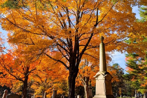 A vibrant autumn tree with orange leaves stands beside a stone monument in a serene cemetery setting.