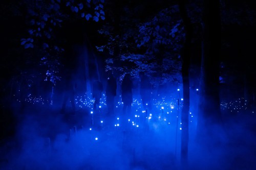 A misty forest illuminated by blue lights, creating a mystical atmosphere with silhouettes among the trees.