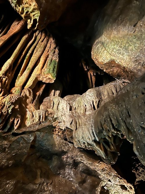 Close-up of textured rock formations inside a cave, showcasing intricate patterns and natural colors.