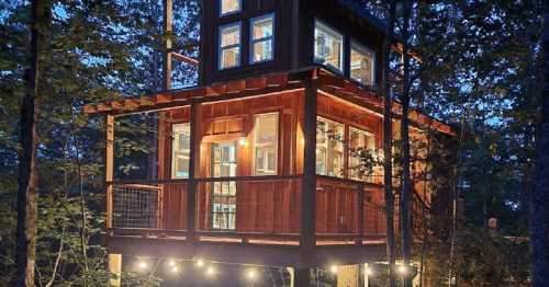 A modern treehouse illuminated at dusk, surrounded by trees and featuring large windows and a balcony.