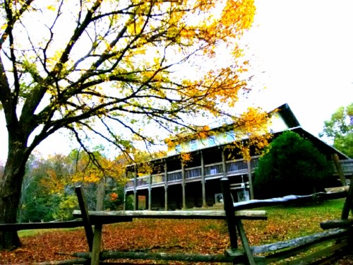 A rustic building surrounded by autumn trees with vibrant yellow leaves and a wooden fence in the foreground.