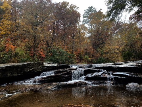 A serene waterfall cascades over rocks, surrounded by vibrant autumn foliage in a tranquil forest setting.