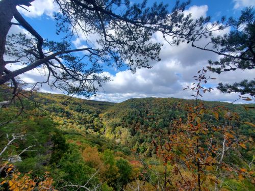 A scenic view of a lush valley surrounded by trees, with vibrant autumn foliage under a partly cloudy sky.