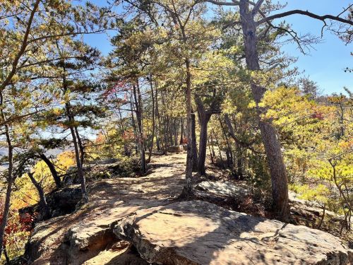 A scenic trail surrounded by trees and rocks, with vibrant autumn foliage under a clear blue sky.