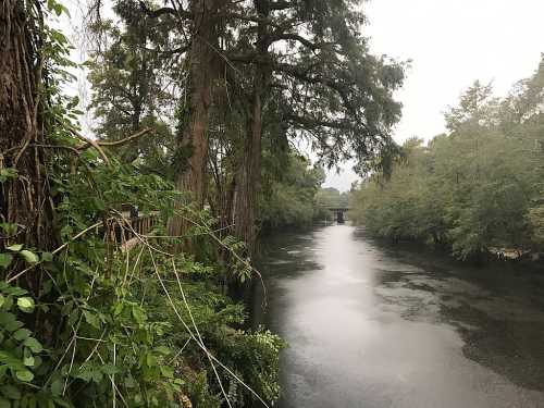 A serene river scene surrounded by lush greenery and trees, with a bridge visible in the distance under a cloudy sky.