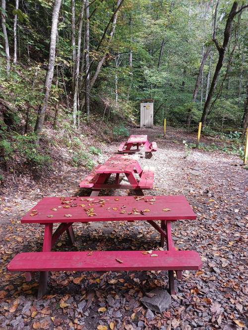 A row of red picnic tables on a forest path, surrounded by trees and fallen leaves, with a restroom in the background.