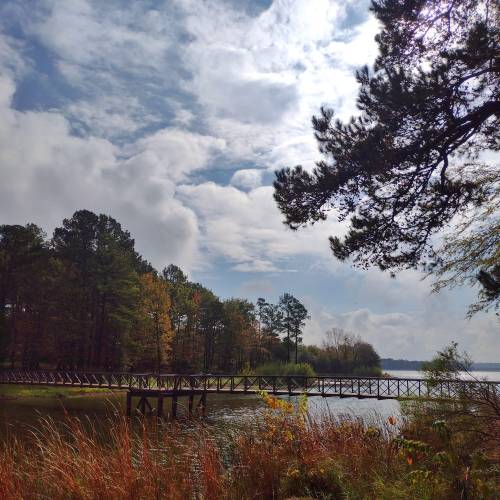 A serene landscape featuring a wooden pier extending into a calm lake, surrounded by trees and a cloudy sky.