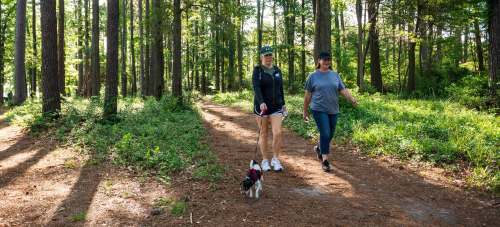 Two women walk a small dog along a wooded path, surrounded by tall trees and greenery.