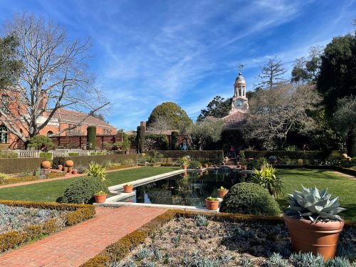 A serene garden with a pond, surrounded by lush greenery and potted plants, under a clear blue sky.