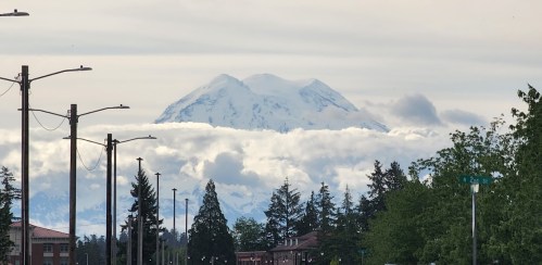 A snow-capped mountain rises above clouds, framed by trees and power lines in a serene landscape.