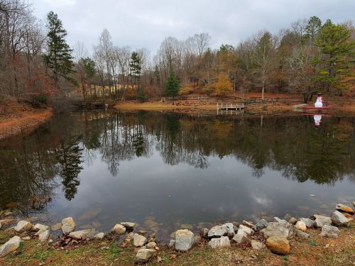 A calm pond surrounded by trees, with reflections on the water and a small dock in the background.