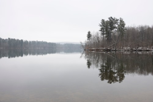 A calm, misty lake reflects trees and a cloudy sky, creating a serene winter landscape.