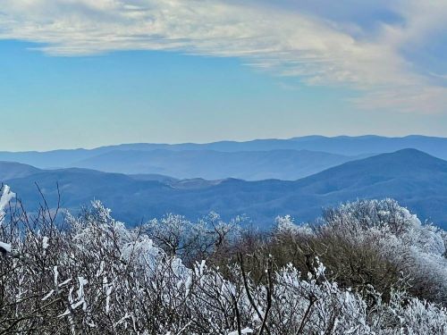A winter landscape featuring snow-covered trees and rolling blue mountains under a cloudy sky.