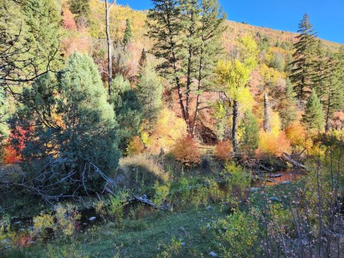A vibrant autumn landscape with colorful trees reflecting in a calm stream under a clear blue sky.