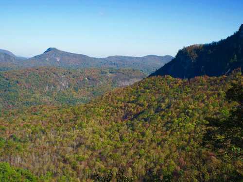 A panoramic view of rolling mountains covered in vibrant autumn foliage under a clear blue sky.