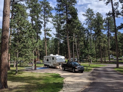 A black truck parked next to a white RV in a wooded campground with tall pine trees and a clear sky.