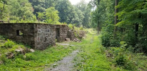 Overgrown path leading to stone ruins, surrounded by lush greenery and trees in a tranquil forest setting.