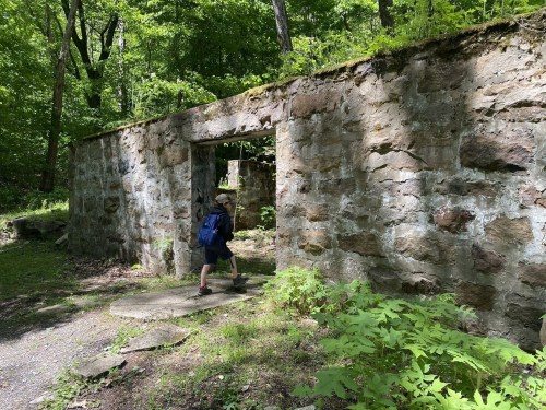 A person walks through a stone archway in a forested area, surrounded by greenery and remnants of old ruins.