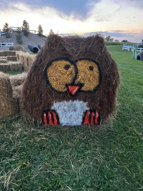 A large hay bale painted to resemble a cartoon owl, with big eyes and a cheerful expression, set in a grassy field.