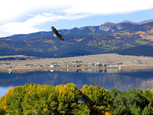 A bird soars over a tranquil lake, with mountains and a small town visible in the background, surrounded by autumn foliage.