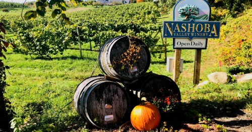 A pumpkin sits beside stacked barrels at Nashoba Valley Winery, with vineyards and a sign in the background.