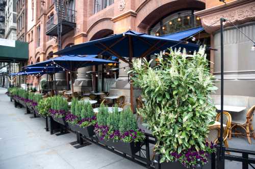 Outdoor café with blue umbrellas, greenery, and purple flowers along a city sidewalk in front of a historic building.