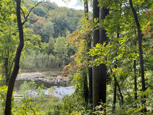 A serene view of a river surrounded by lush green trees and colorful foliage in a peaceful natural setting.