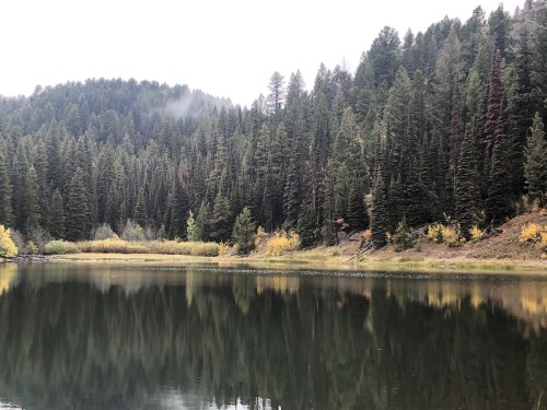 A serene lake surrounded by dense evergreen trees, reflecting the forest and autumn colors on a misty day.