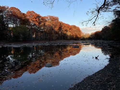 A serene autumn scene with colorful trees reflecting in a calm river at sunset.