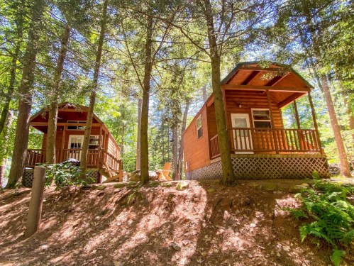 Two wooden cabins nestled among tall trees, with porches and surrounded by lush greenery.
