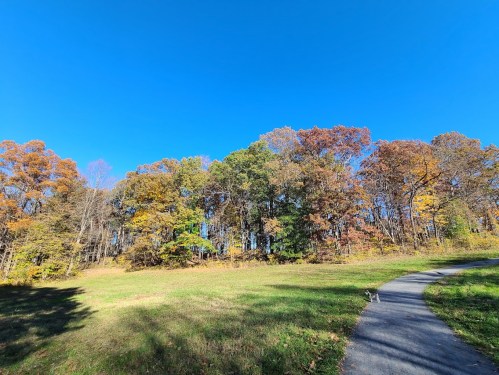 A clear blue sky above a path winding through colorful autumn trees and grassy fields.