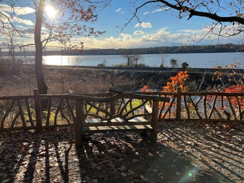 A scenic view of a lake with autumn foliage, featuring a wooden bench and sunlight casting shadows on the ground.