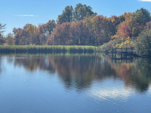 A serene lake reflects colorful autumn trees under a clear blue sky, with a wooden dock in the background.