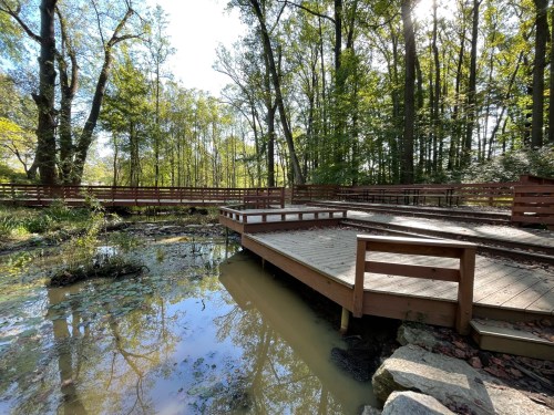 A wooden deck by a serene pond, surrounded by lush green trees and sunlight filtering through the foliage.
