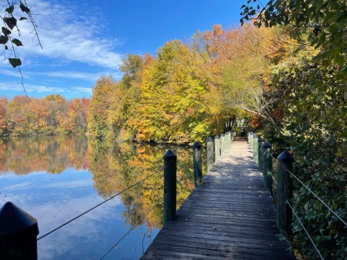 A wooden walkway beside a calm lake, surrounded by vibrant autumn foliage and a clear blue sky.