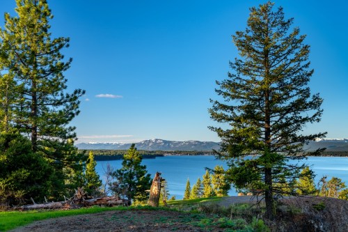 A serene lake view surrounded by pine trees and distant mountains under a clear blue sky.