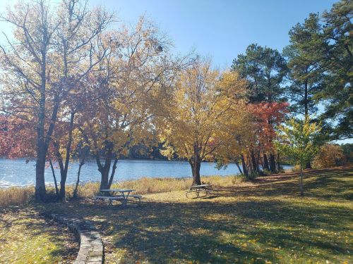 A serene lakeside scene with colorful autumn trees and picnic tables under a clear blue sky.