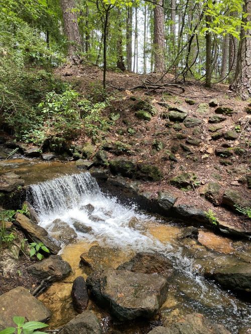 A small waterfall cascades over rocks in a lush, green forest setting. Sunlight filters through the trees.