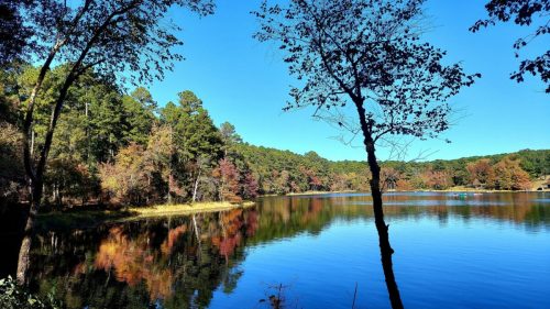 A serene lake surrounded by trees with autumn foliage under a clear blue sky. Reflections shimmer on the water's surface.