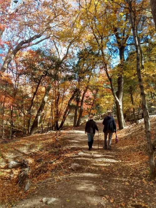 Two people walk along a dirt path surrounded by vibrant autumn trees with colorful leaves.