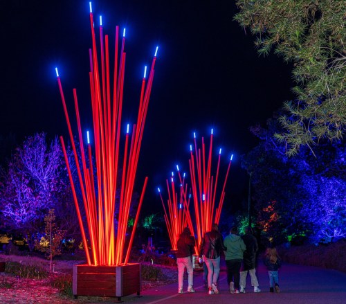 A group of people walks along a path illuminated by tall, vibrant red and blue light installations at night.