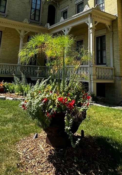 A large flower pot filled with vibrant flowers and tall green plants, set in a lush garden near a historic building.