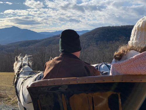 A person in a hat and a child in a cozy sweater enjoy a horse-drawn carriage ride with mountains in the background.