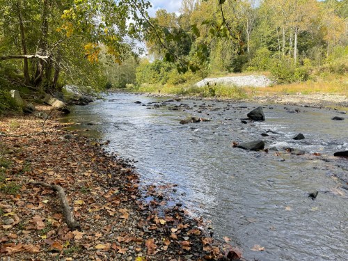 A serene river flows through a wooded area, surrounded by autumn leaves and rocky banks under a partly cloudy sky.
