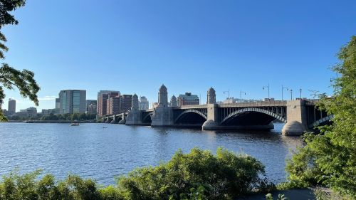 A view of a city skyline with a bridge over a river, framed by greenery under a clear blue sky.
