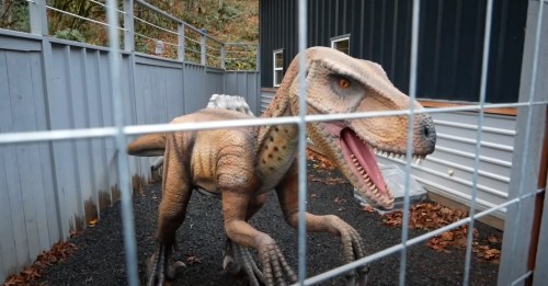 A lifelike dinosaur model stands behind a fence in a wooded area, showcasing detailed features and textures.