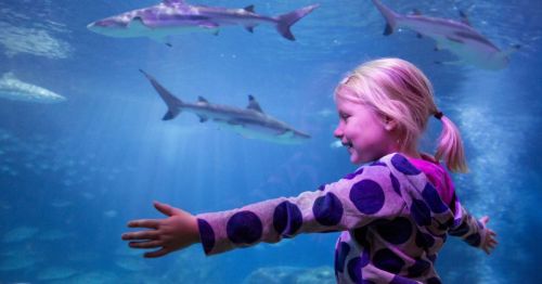 A young girl with a joyful expression stretches her arms in front of a large aquarium with swimming sharks.